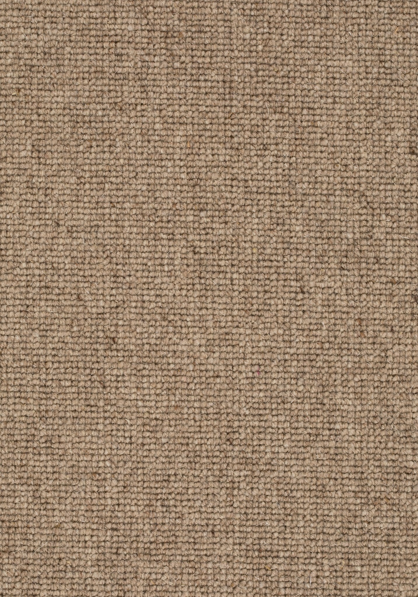 Velora Tapijt Faro (400 cm) kleur 137