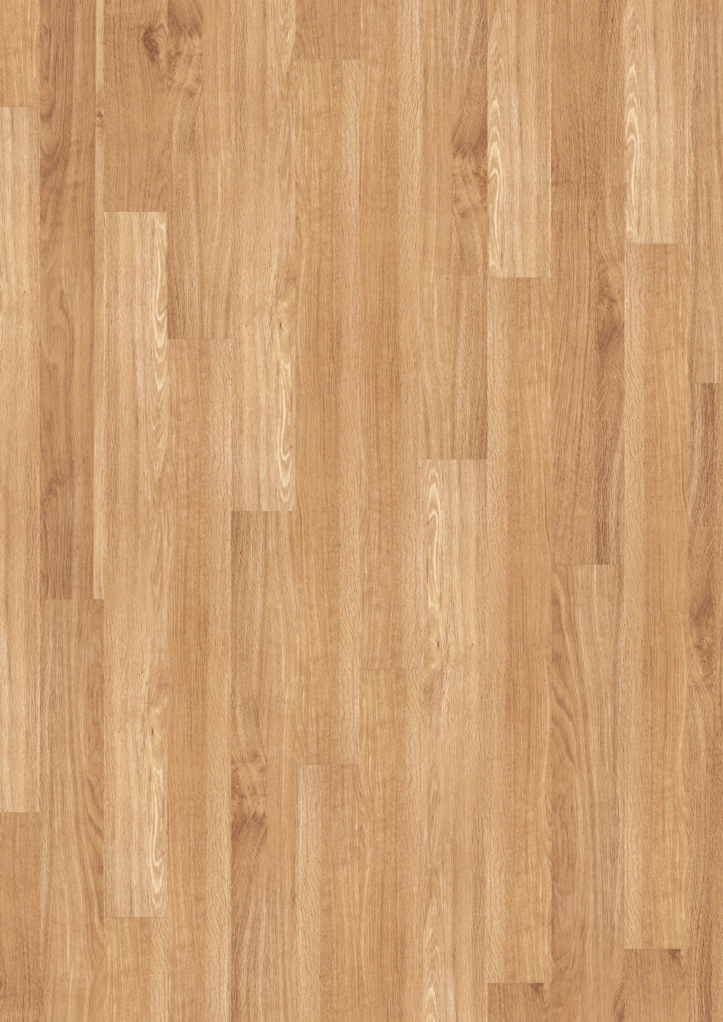 PVC vloer Plank Light Oak 2817 DB – productfoto | Velora Floors