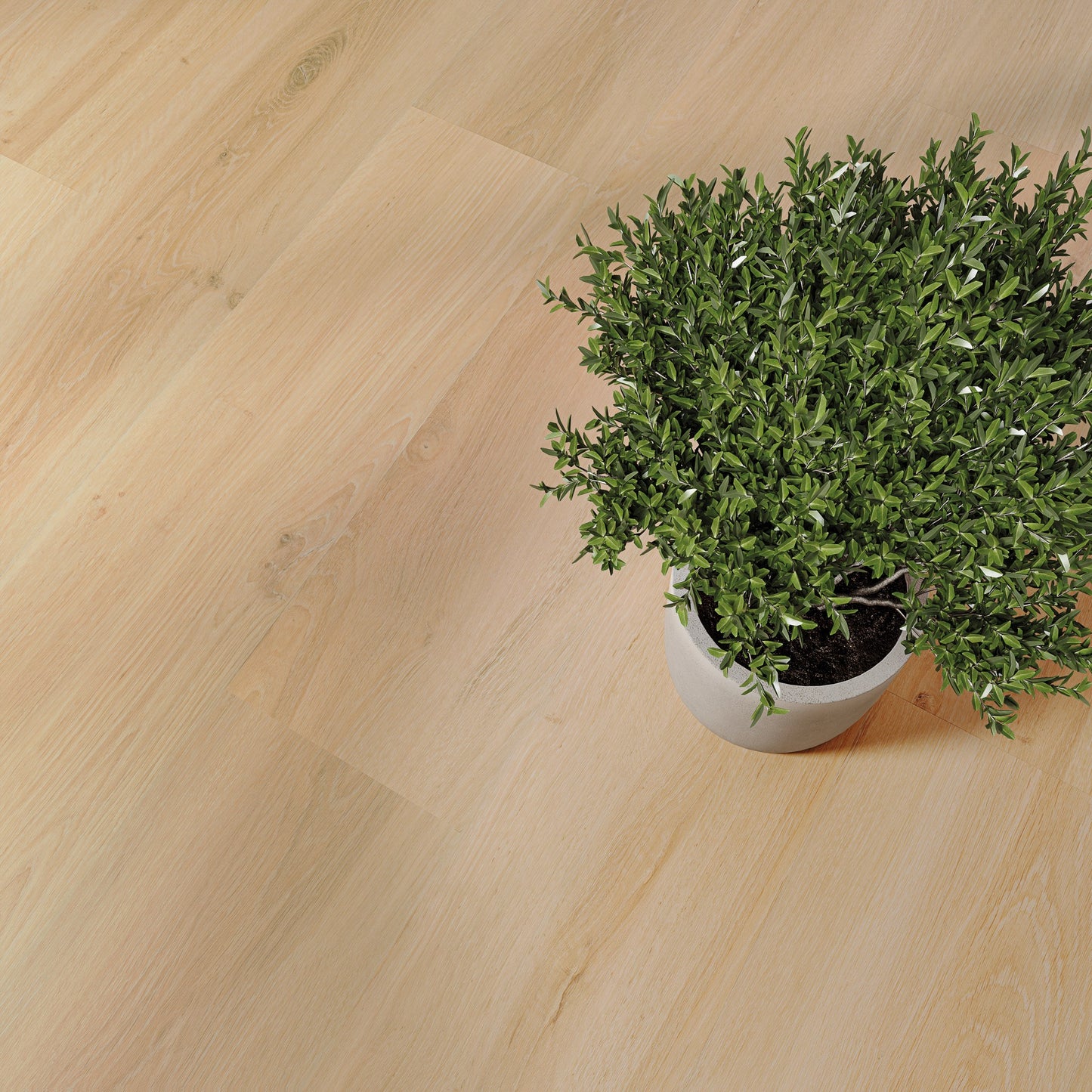 PVC vloer Plank Mellow Oak DB 2880 – detailfoto | Velora Floors