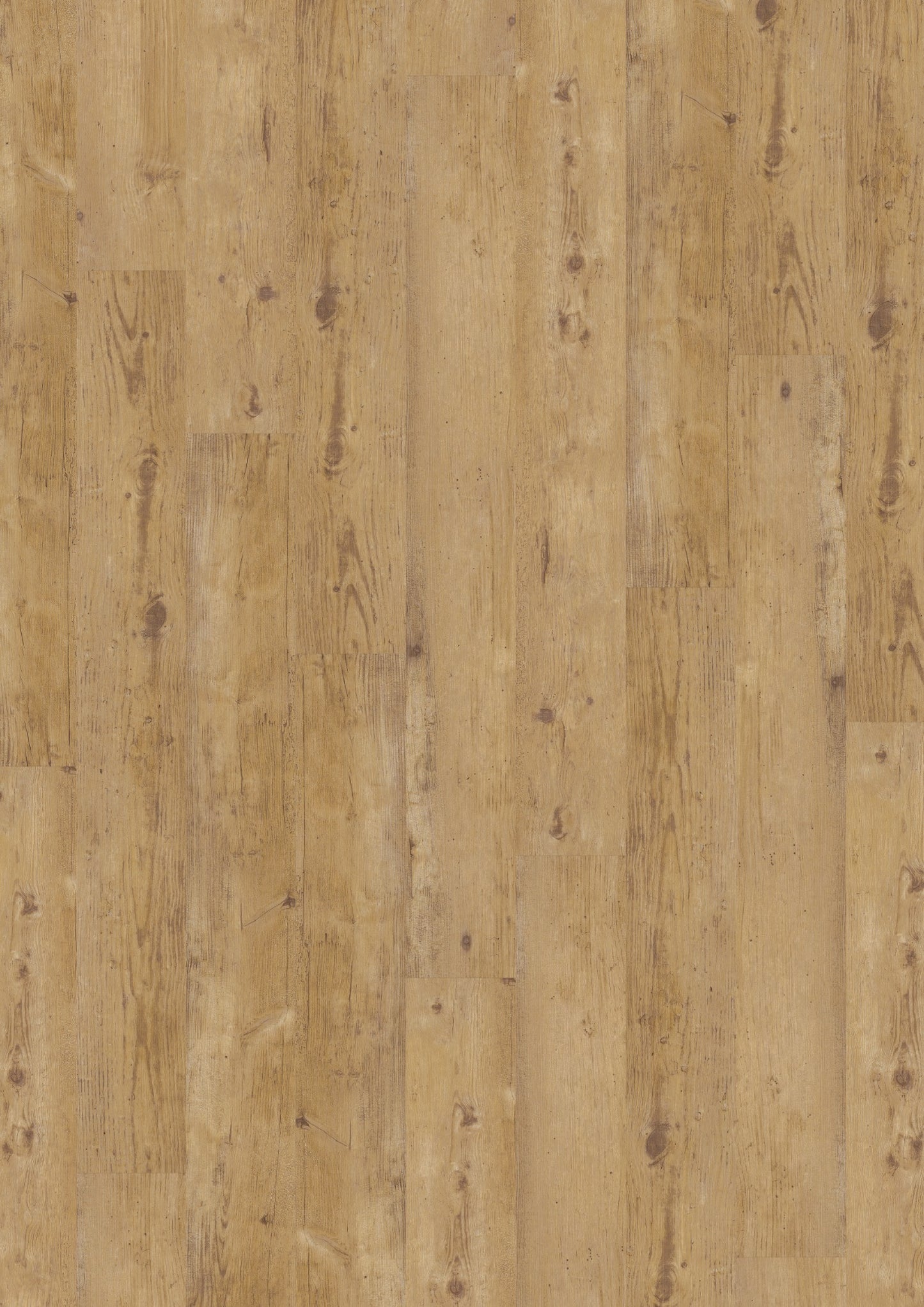 PVC vloer Plank Warmy Light Oak 2824 DB – productfoto | Velora Floors