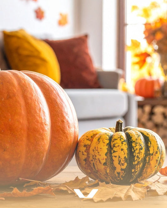 Geniet van de herfstzon en ontdek jouw nieuwe vloer ☀️🍁