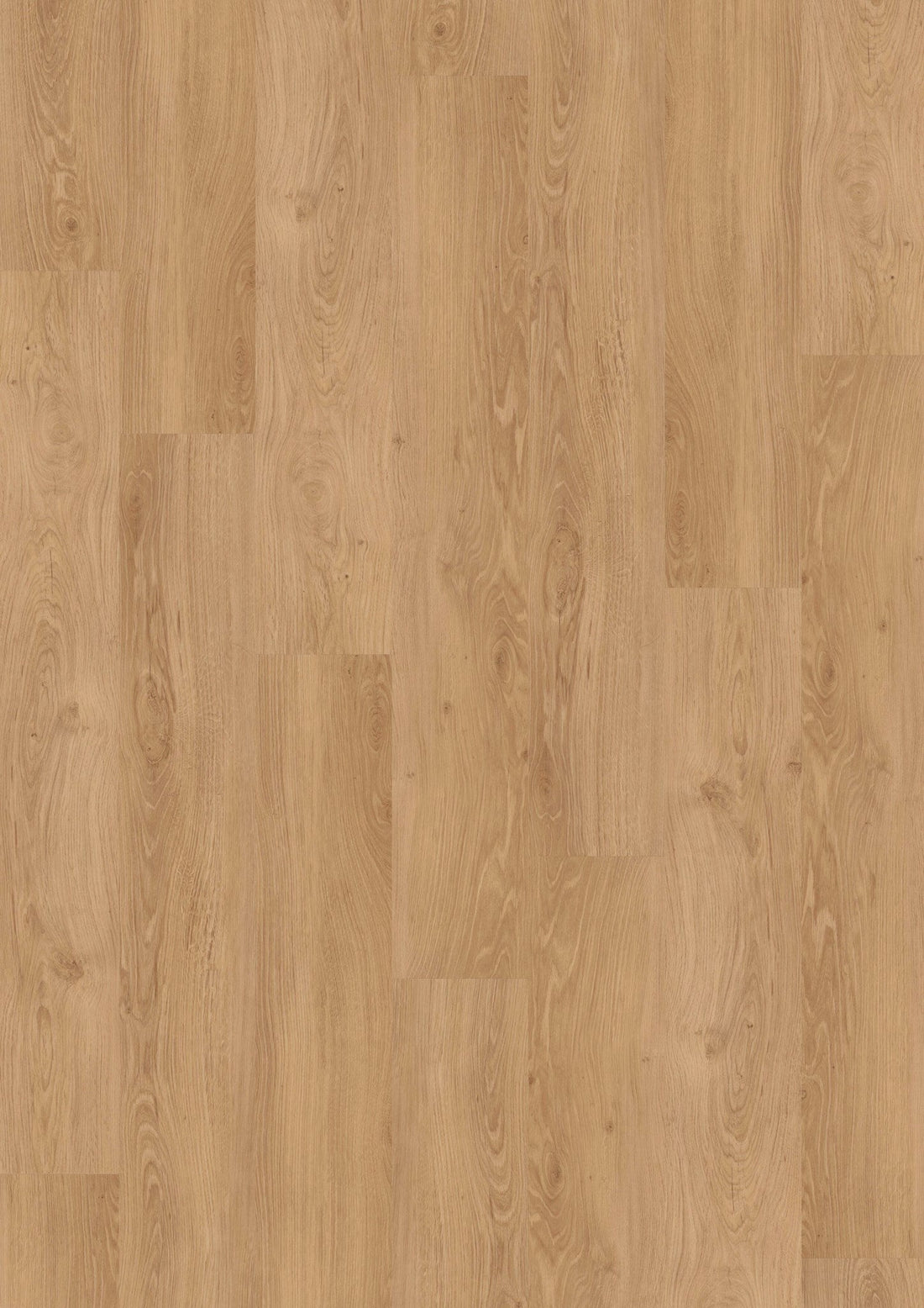 Klik PVC vloer Fresh Oak 854 in lichte houtlook, ideaal voor de slaapkamer | Velora Floors