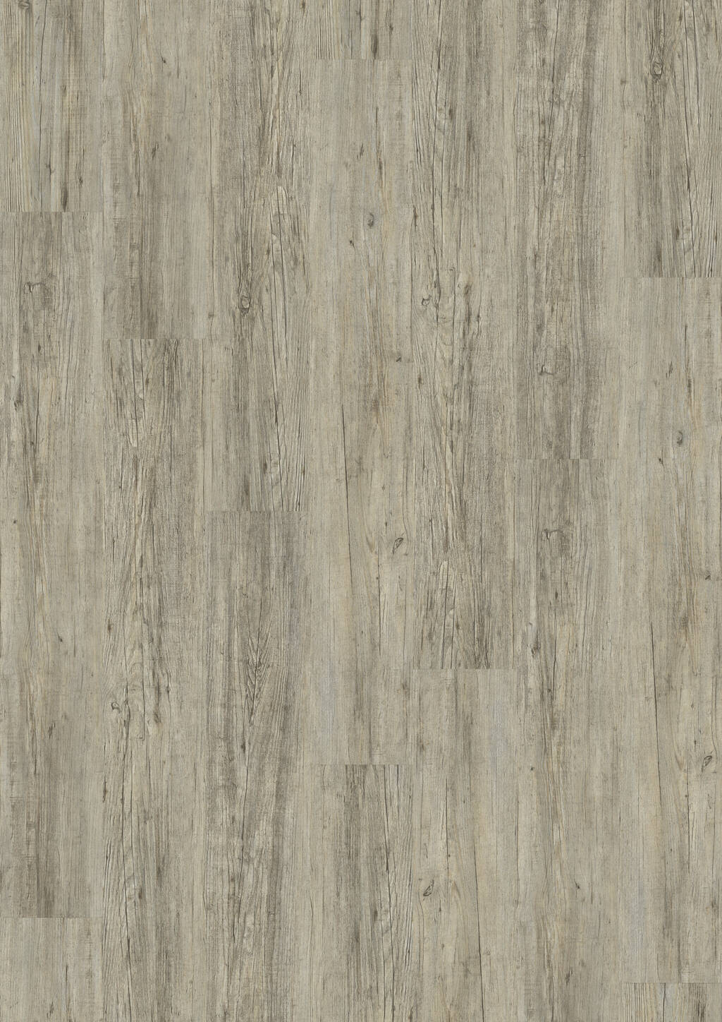 PVC vloer voor huisdieren, krasvaste klik PVC in Grey Pine | Velora Floors