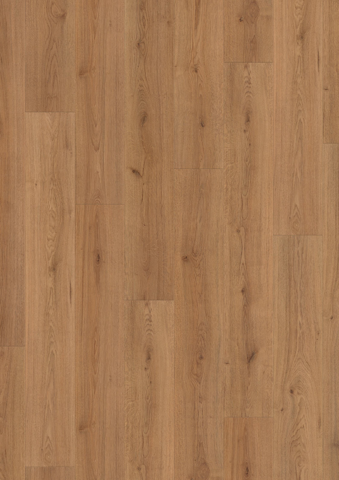 Laminaat Oak Harmony 3689 JOKA HOMEline Edition