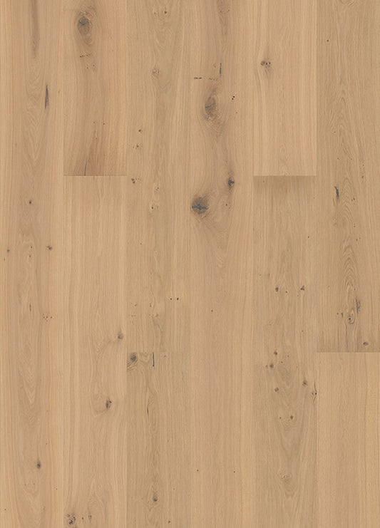 Houten vloer Parket Eiken Geborsteld Creme E5714 – productfoto | Velora Floors