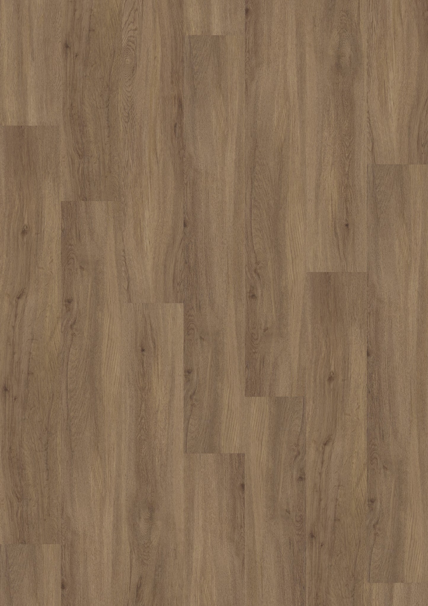 PVC vloer Plank Airy Oak 2811 DB – productfoto | Velora Floors