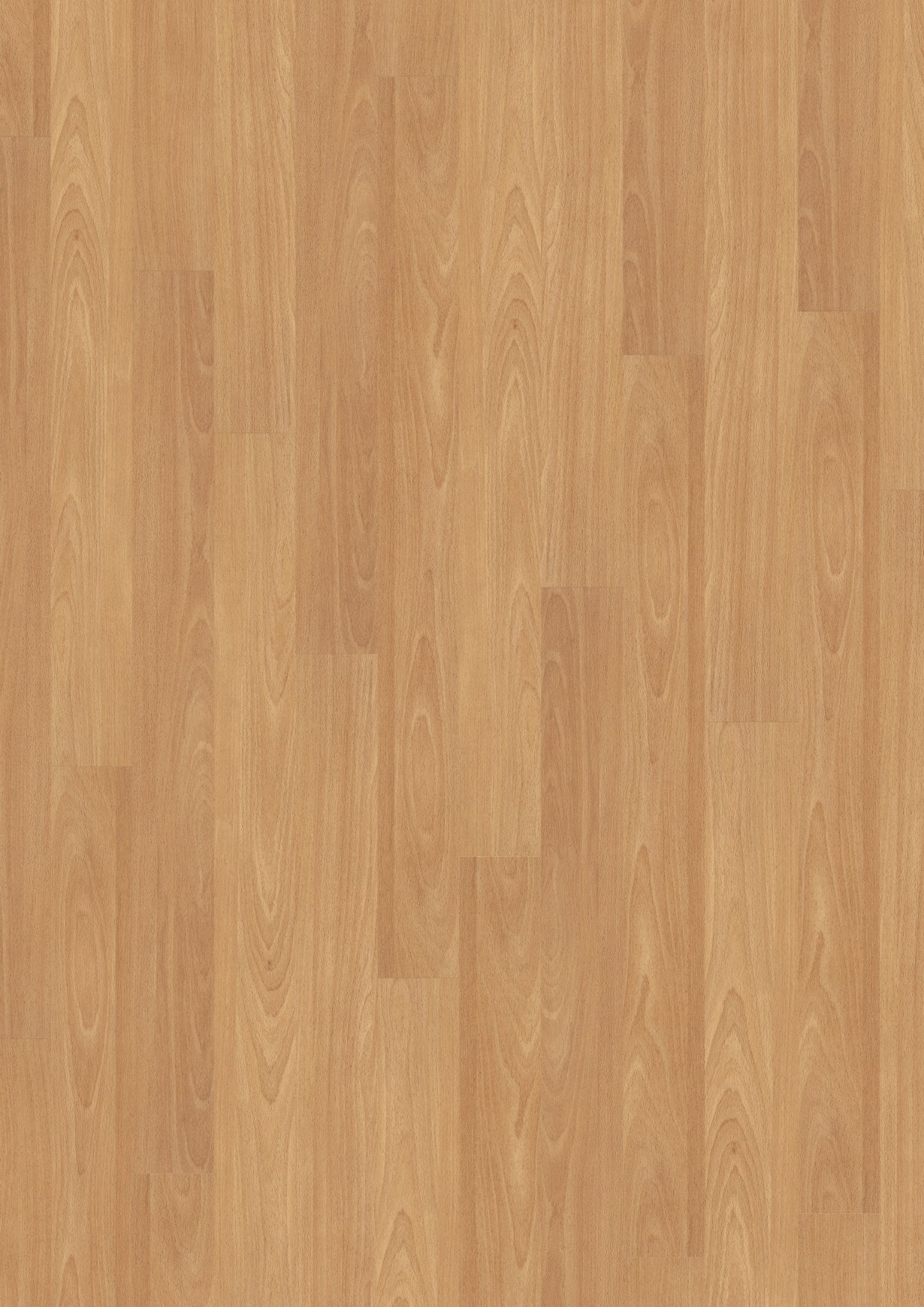 PVC vloer Plank Blond Beech 2818 DB – productfoto | Velora Floors