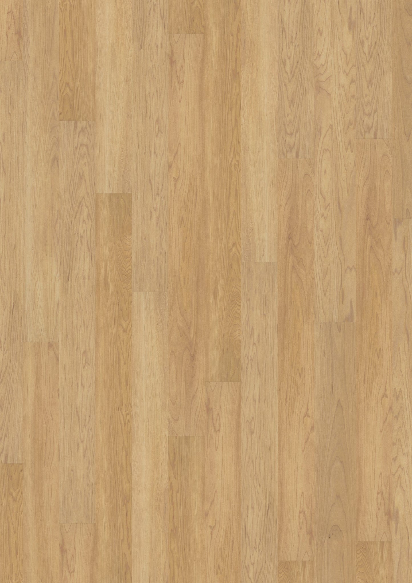 PVC vloer Plank Creamy Maple 2819 DB – productfoto | Velora Floors