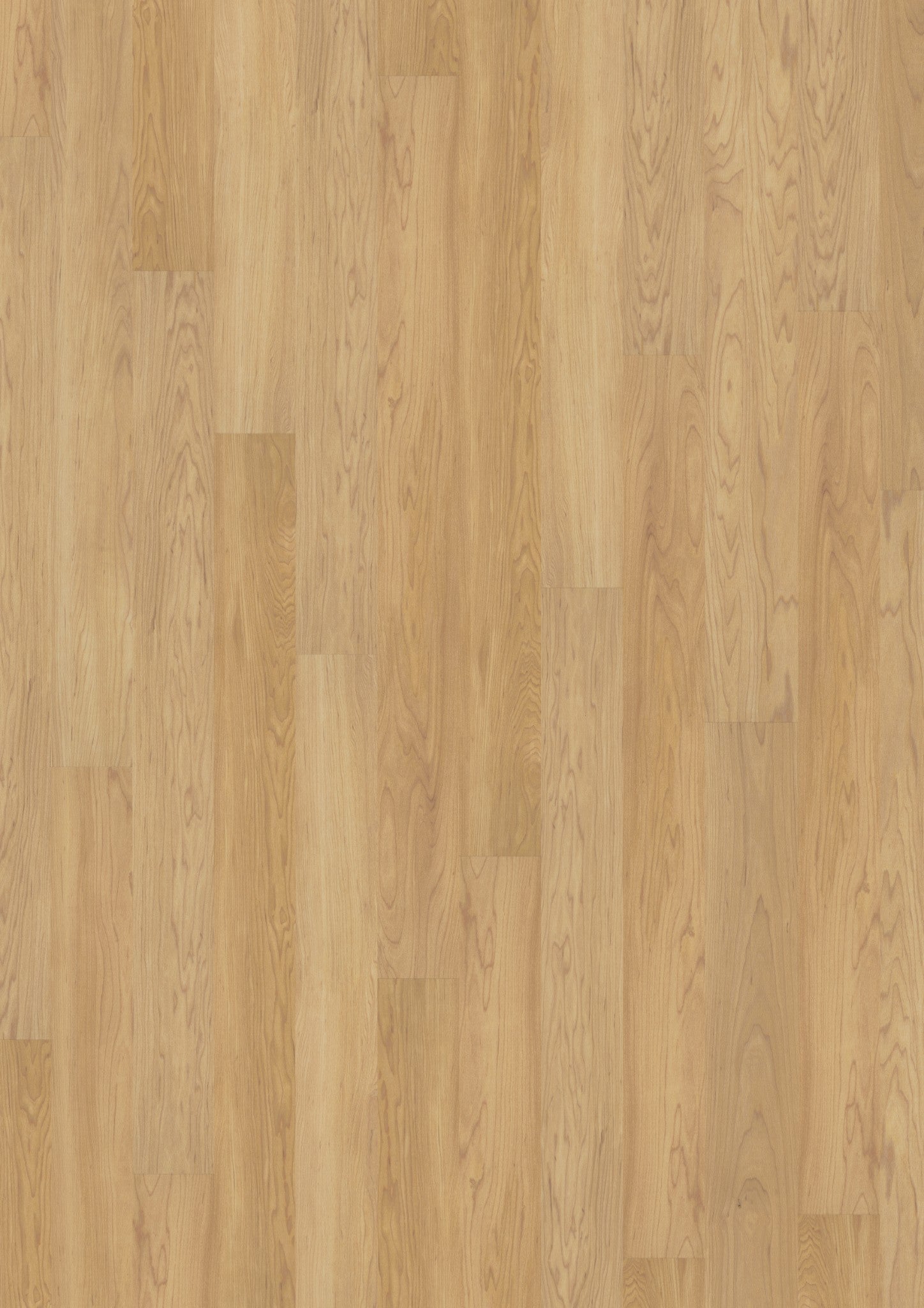 PVC vloer Plank Creamy Maple 2819 DB – productfoto | Velora Floors
