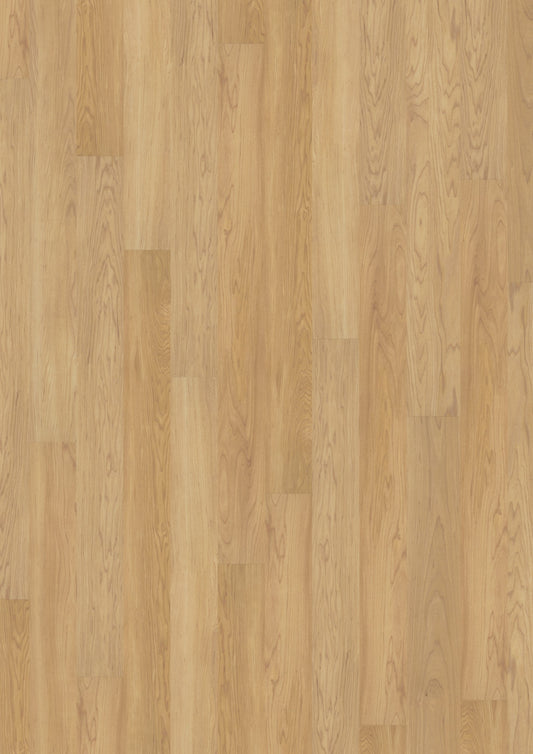 PVC vloer Plank Creamy Maple 2819 DB – productfoto | Velora Floors