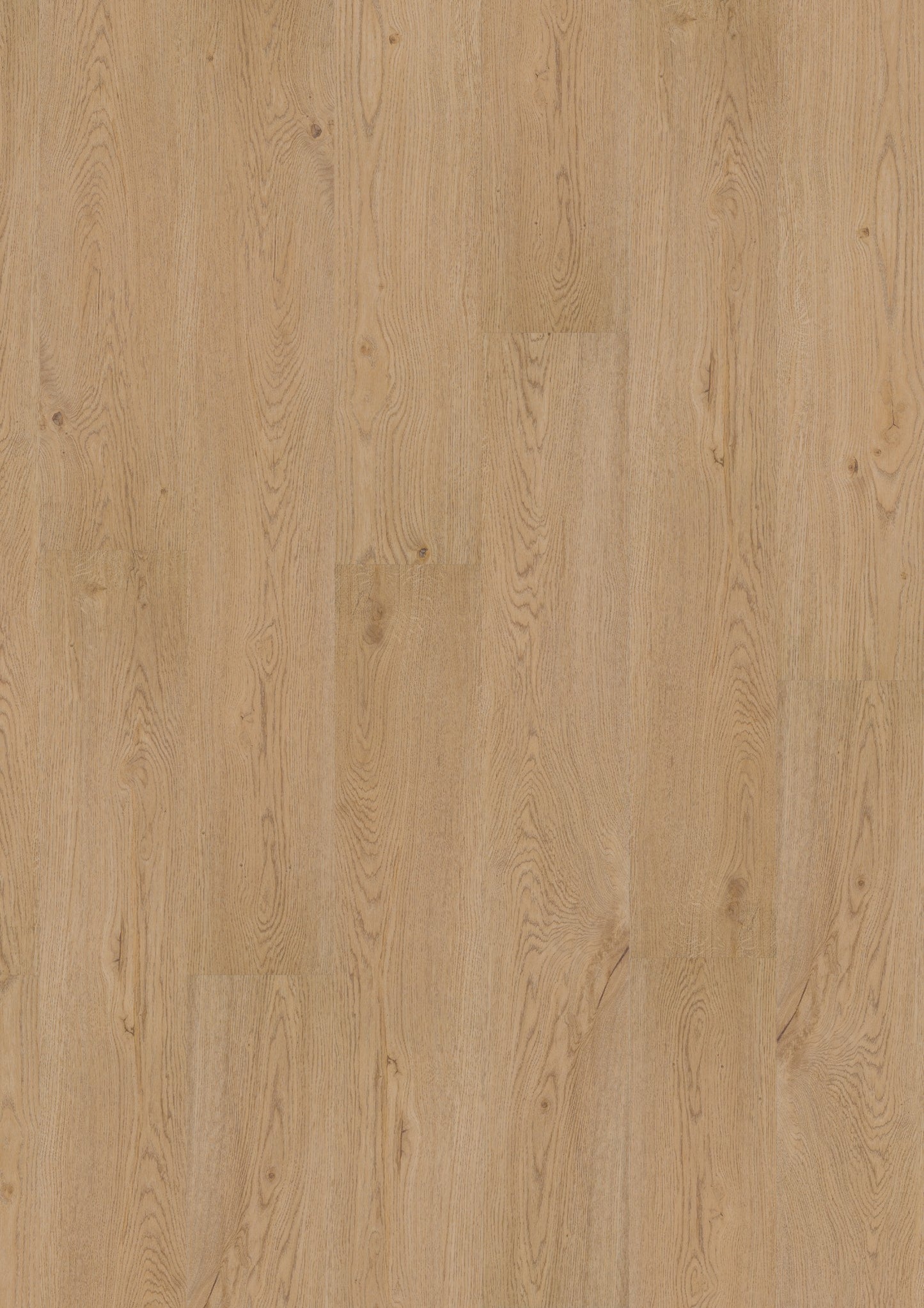 PVC vloer Plank Earthy Oak 2881 DB – productfoto | Velora Floors
