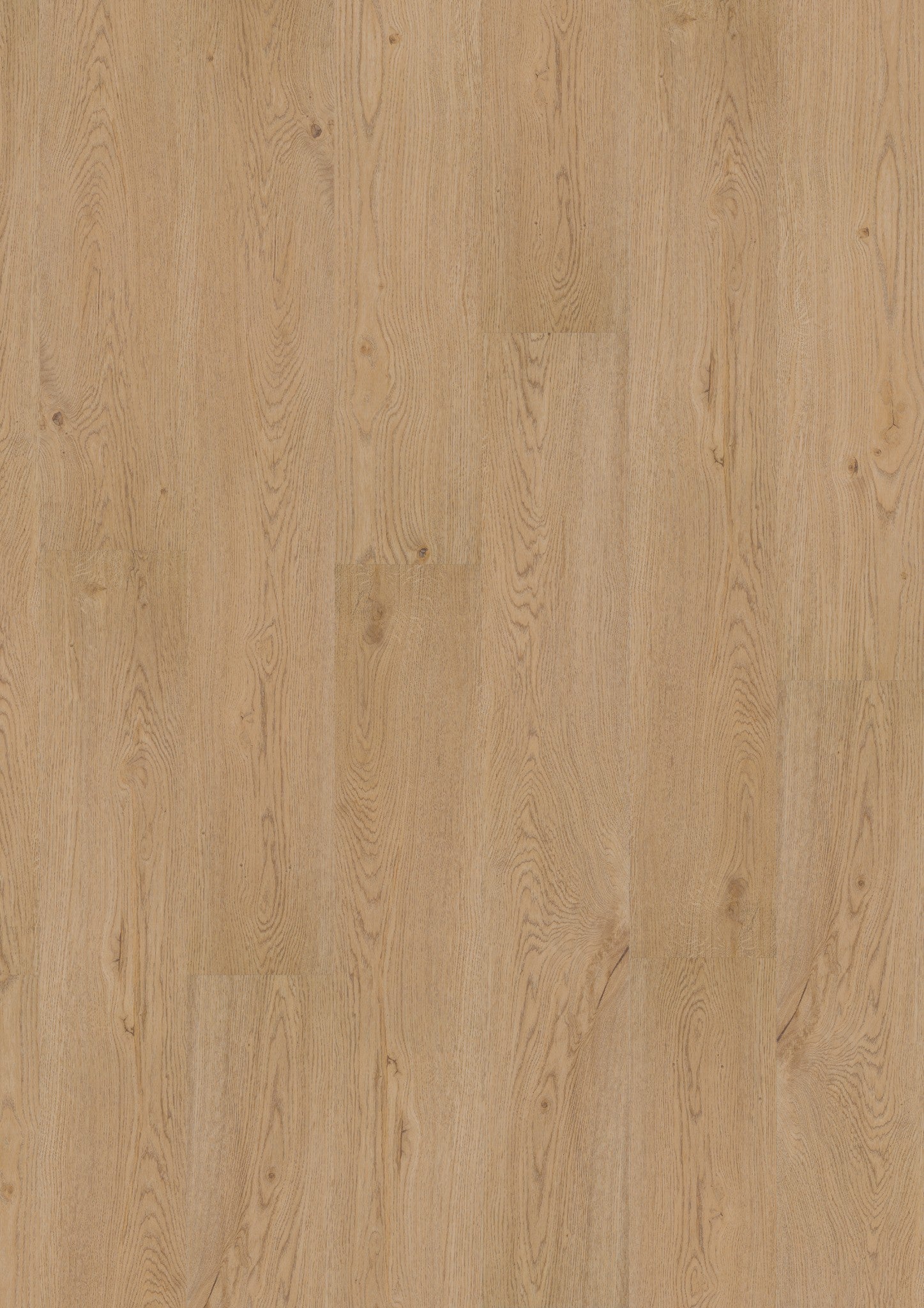 PVC vloer Plank Earthy Oak 2881 DB – productfoto | Velora Floors