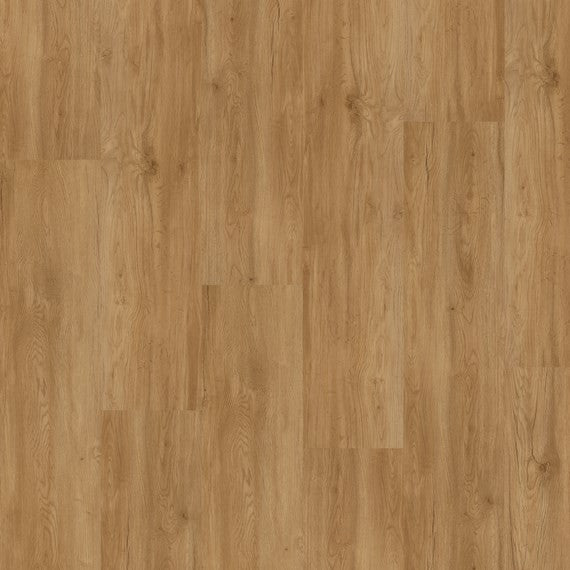 PVC vloer Plank Elm 5504 DB - productfoto | Velora Floors