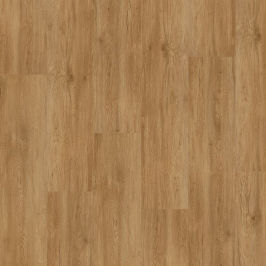 PVC vloer Plank Elm 5504 DB - productfoto | Velora Floors