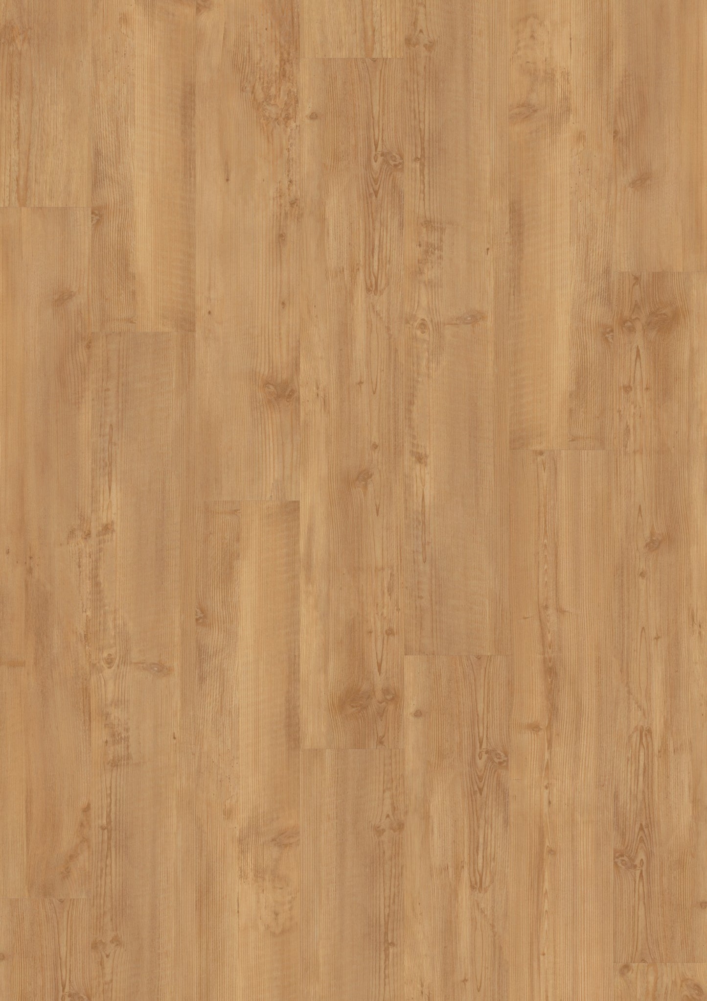 PVC vloer Plank Gouden Pine 2855 DB – productfoto | Velora Floors