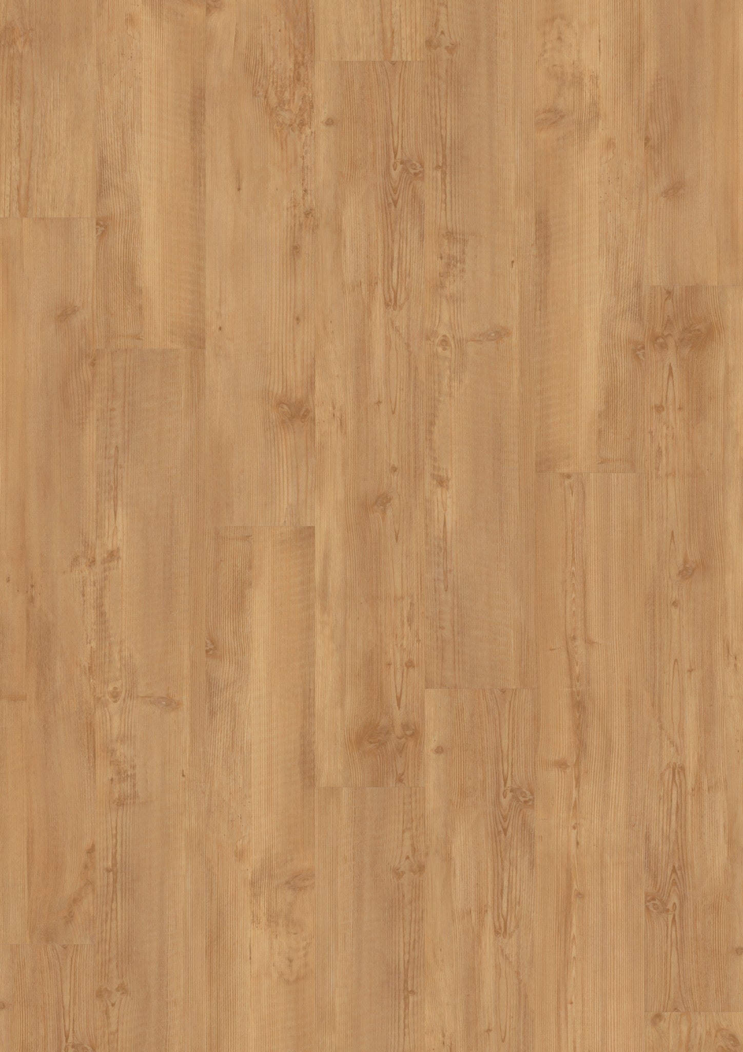PVC vloer Plank Gouden Pine 2855 DB – productfoto | Velora Floors