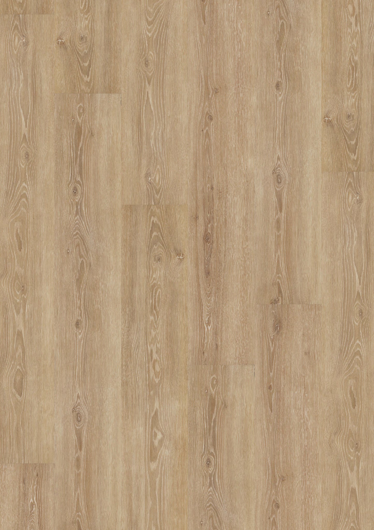 PVC vloer Plank Ivory Oak DB 5308 – productfoto | Velora Floors