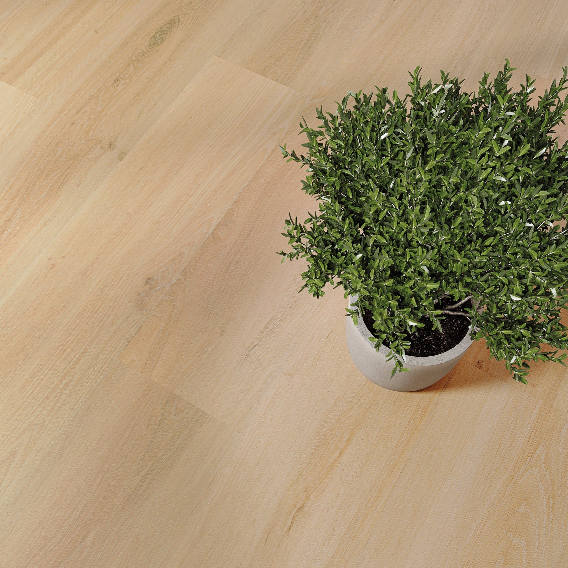 PVC vloer Plank Mellow Oak DB 2880 – detailfoto | Velora Floors