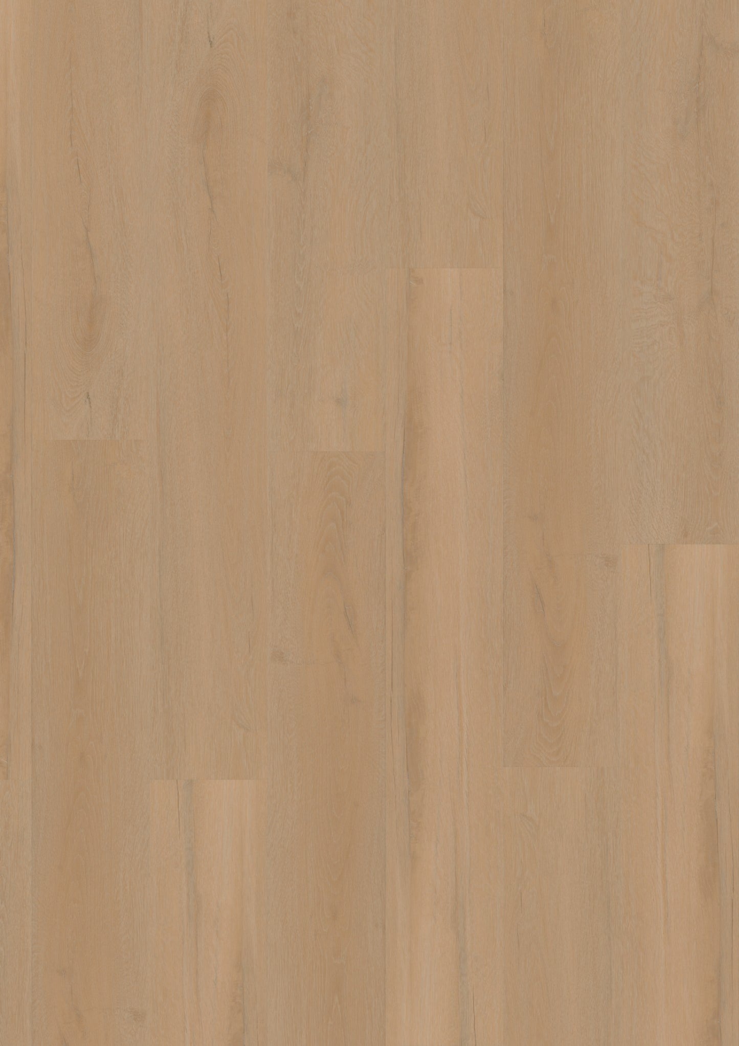 PVC vloer Plank Nuanced Oak 2877 DB – productfoto | Velora Floors