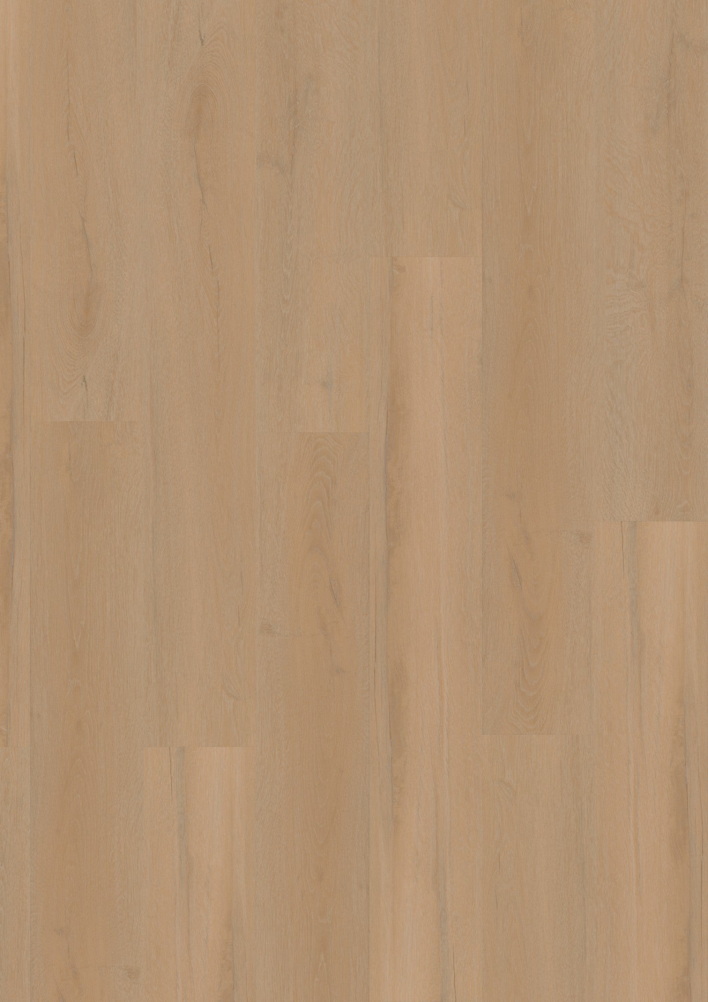 PVC vloer Plank Nuanced Oak 2877 DB – productfoto | Velora Floors
