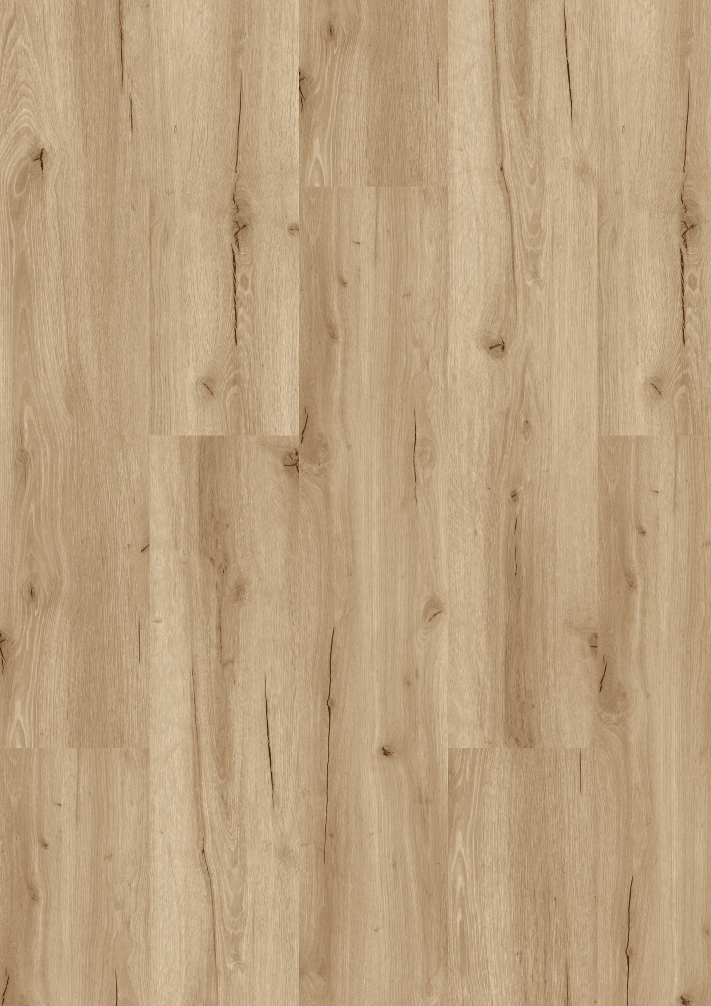 PVC vloer Plank Oak Cream 5702 DB – productfoto | Velora Floors