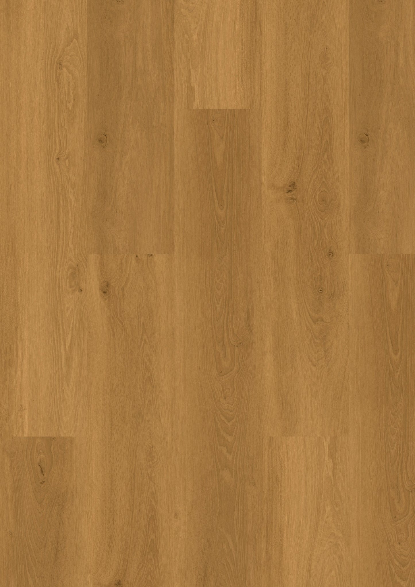 PVC vloer Plank Oak Natural 5705 DB, productfoto | Velora Floors