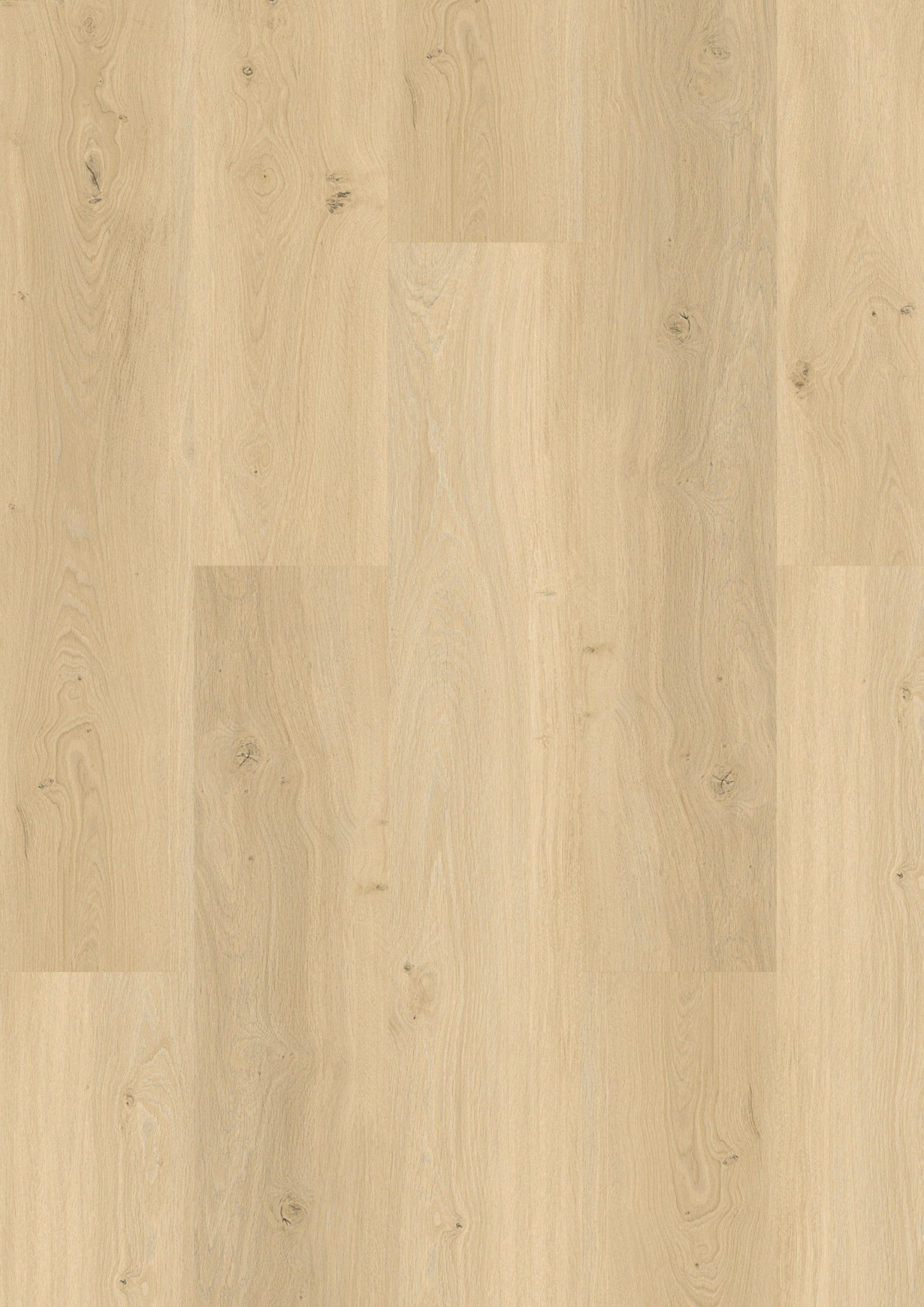 PVC vloer Plank Oak Nordic 5703 DB, productfoto | Velora Floors
