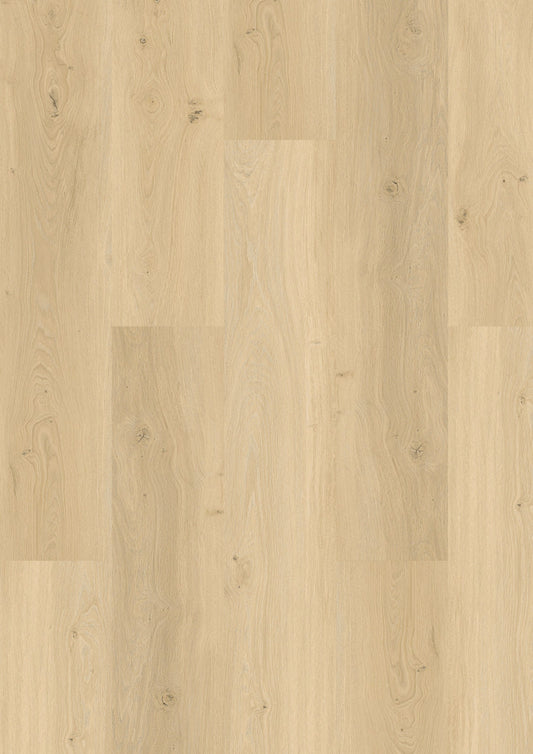PVC vloer Plank Oak Nordic 5703 DB, productfoto | Velora Floors