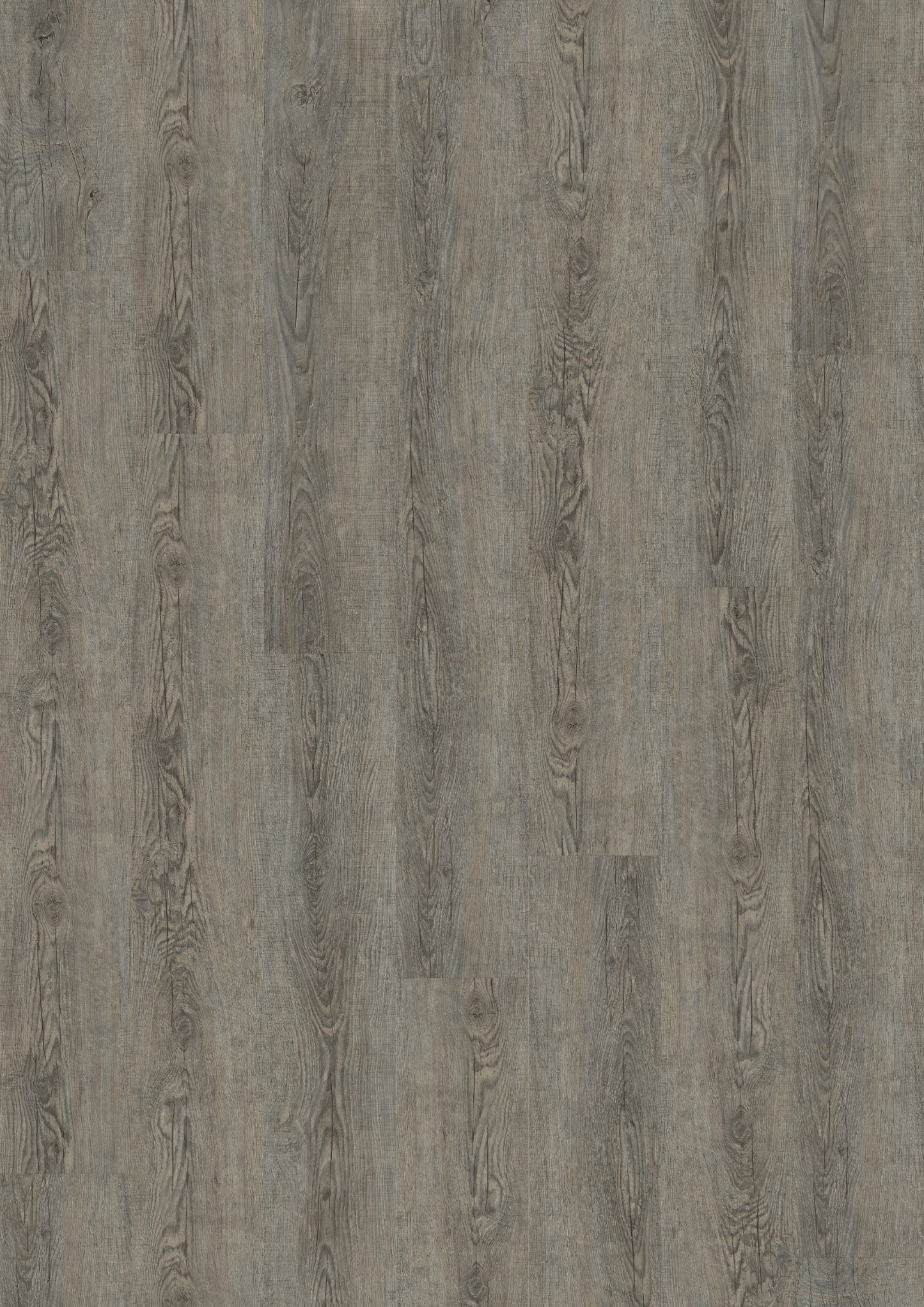 PVC vloer Plank Old Grey Oak 2840 DB – productfoto | Velora Floors
