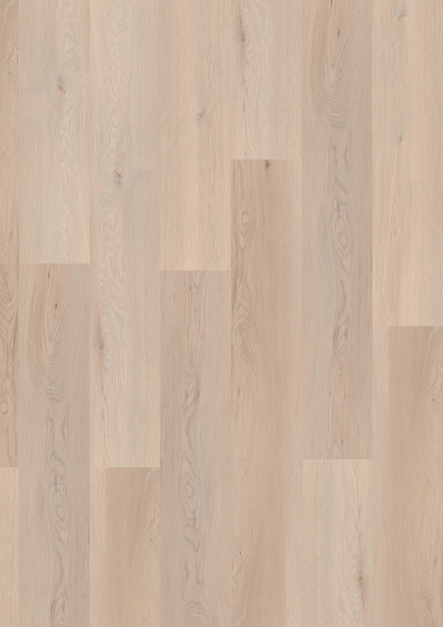 PVC vloer Plank Pearlized Oak 2874 DB – productfoto | Velora Floors
