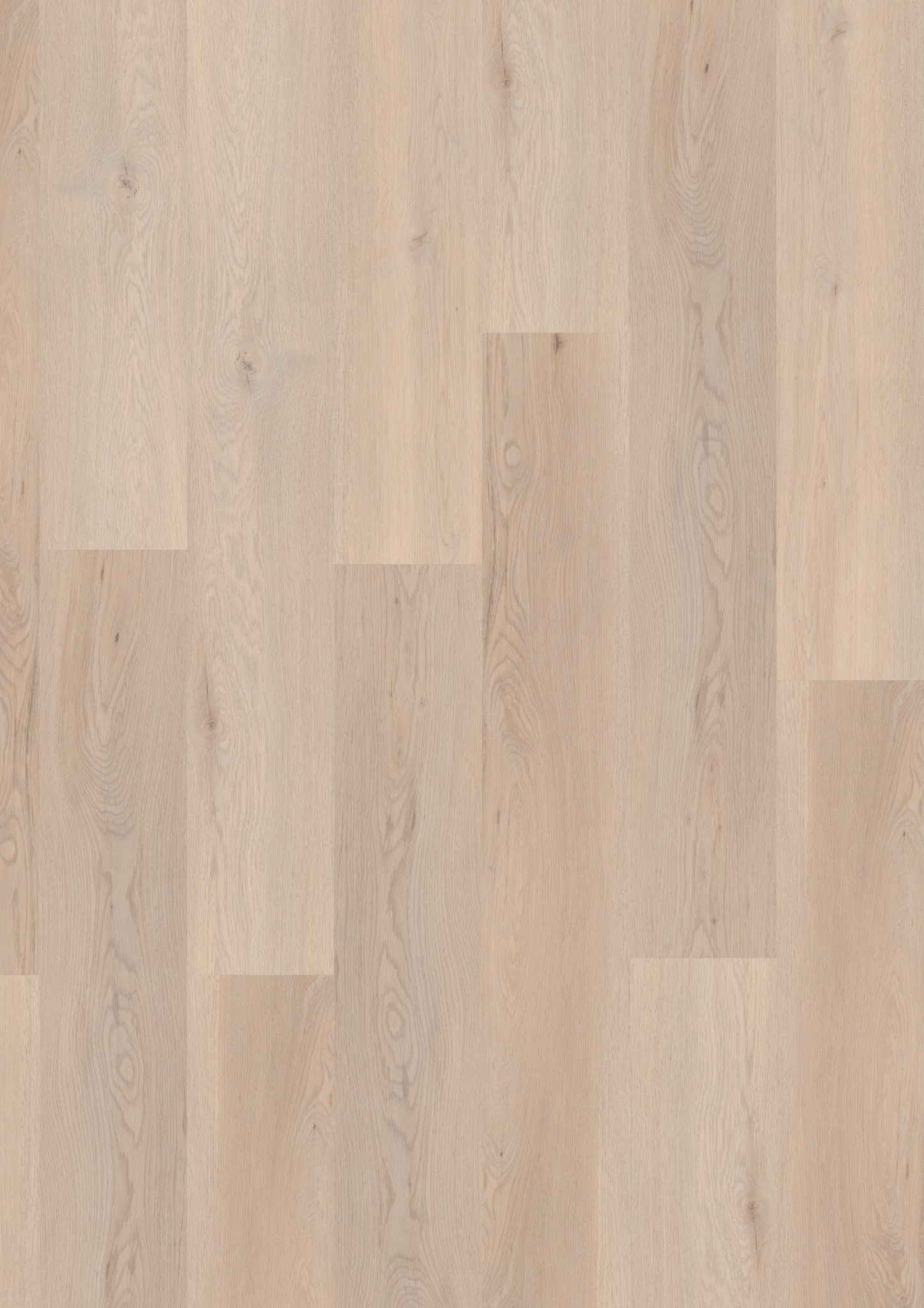 PVC vloer Plank Pearlized Oak 2874 DB – productfoto | Velora Floors