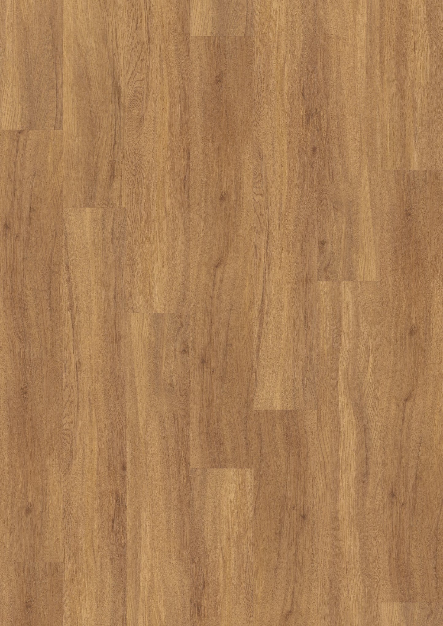 PVC vloer Plank Pure Oak 2812 DB – productfoto | Velora Floors