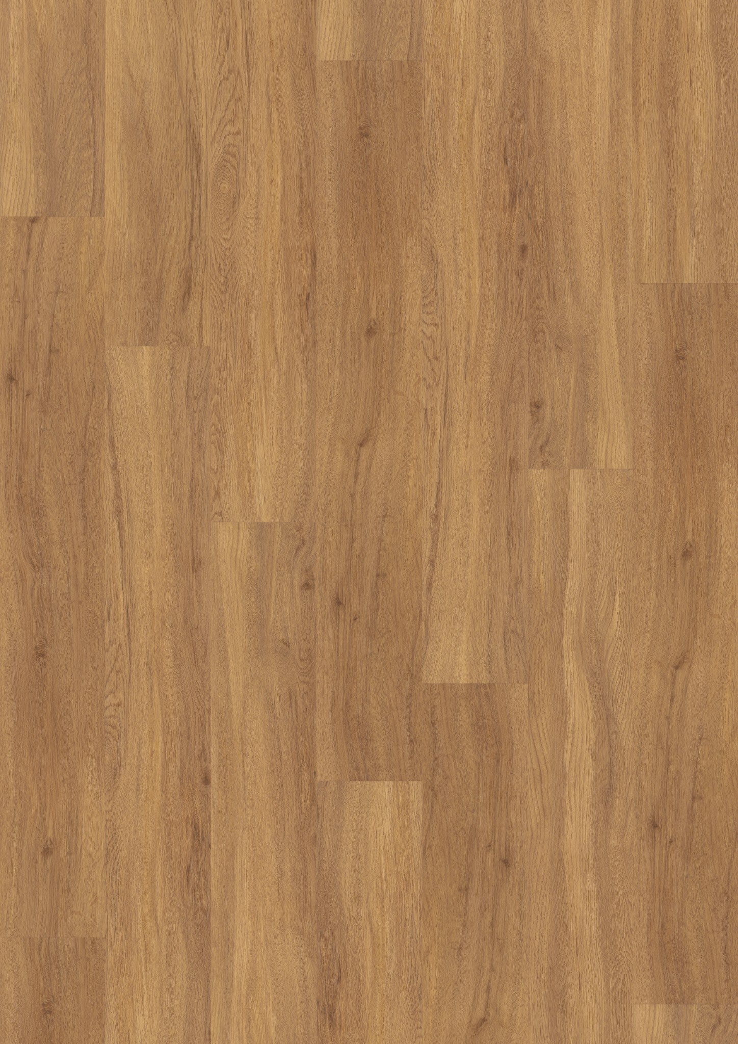 PVC vloer Plank Pure Oak 2812 DB – productfoto | Velora Floors