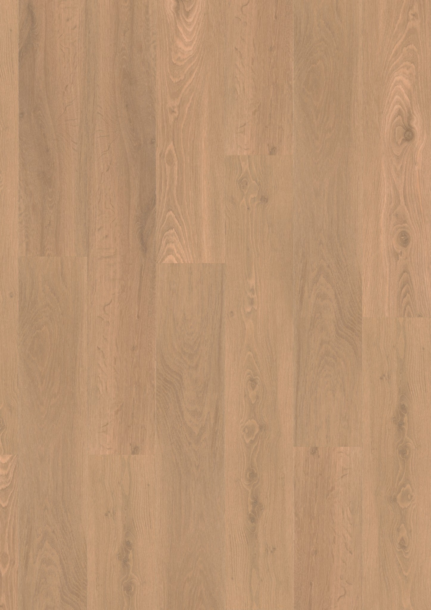 PVC vloer Plank Tawny Oak 2876 DB – productfoto | Velora Floors