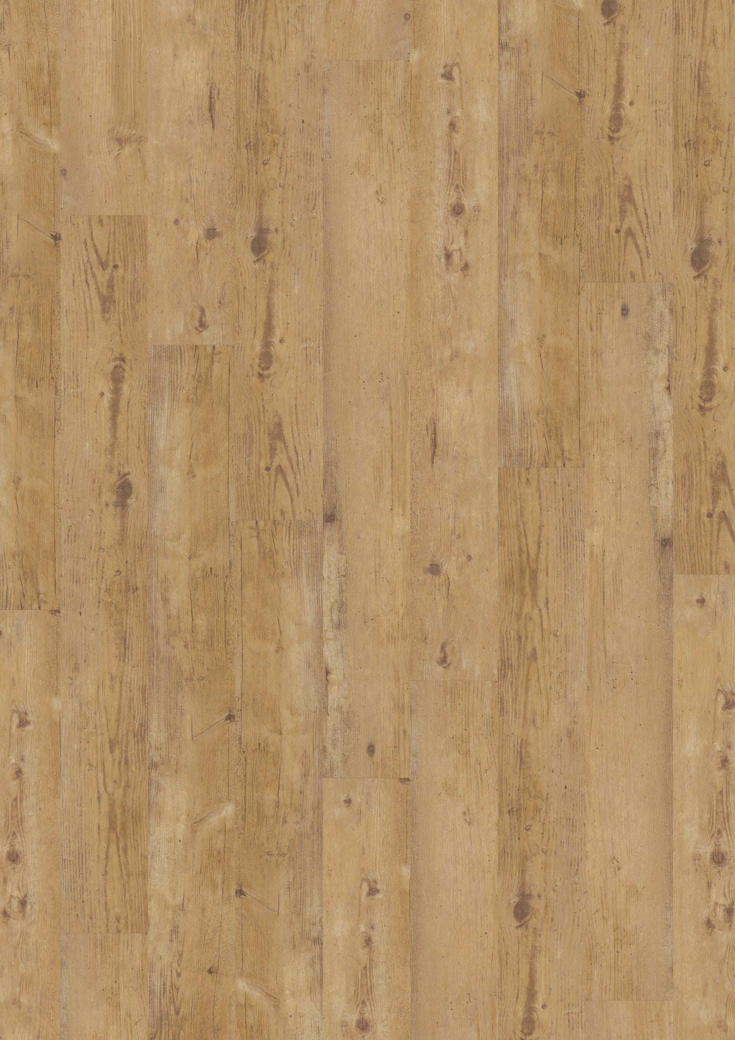 PVC vloer Plank Warmy Light Oak 2824 DB – productfoto | Velora Floors