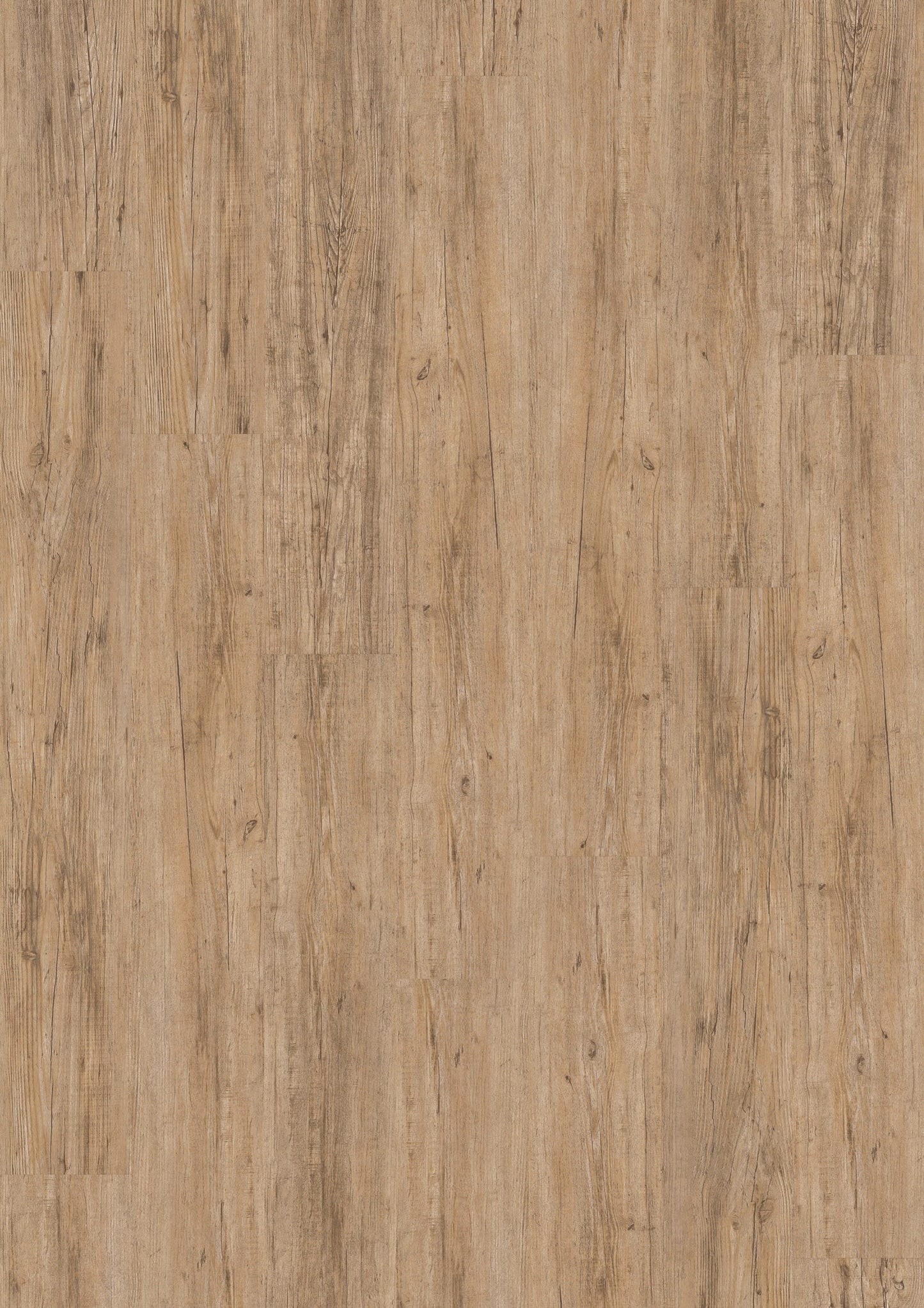 PVC vloer Plank Wild Pine DB 2825 – productfoto | Velora Floors