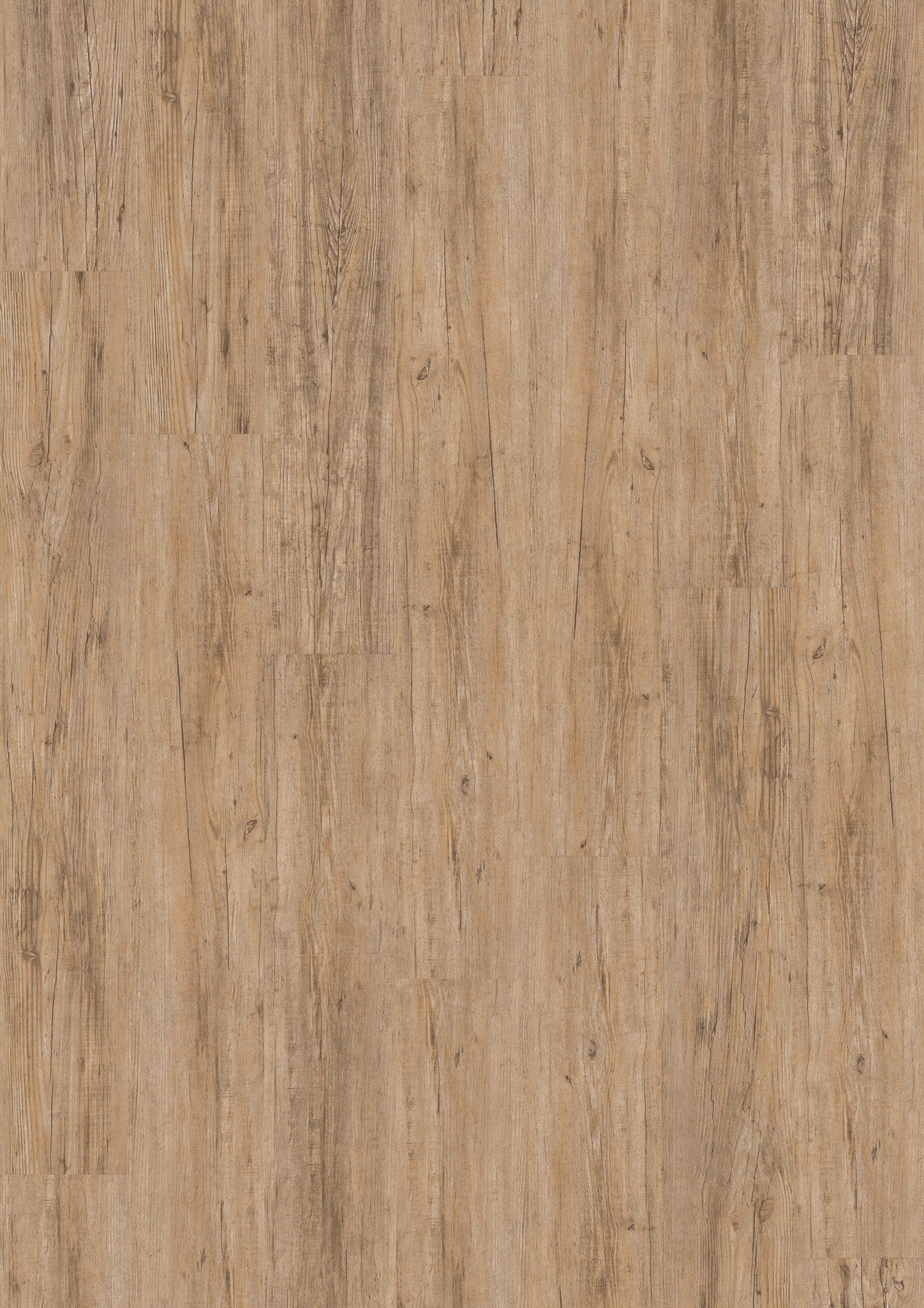 PVC vloer Plank Wild Pine DB 2825 – productfoto | Velora Floors